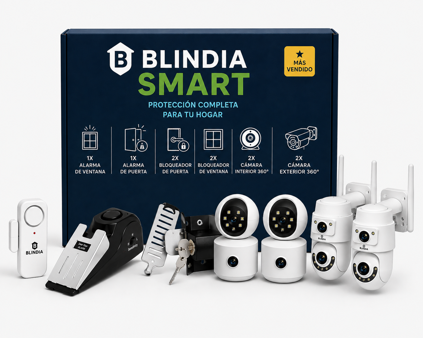 🧠 BLINDIA SMART