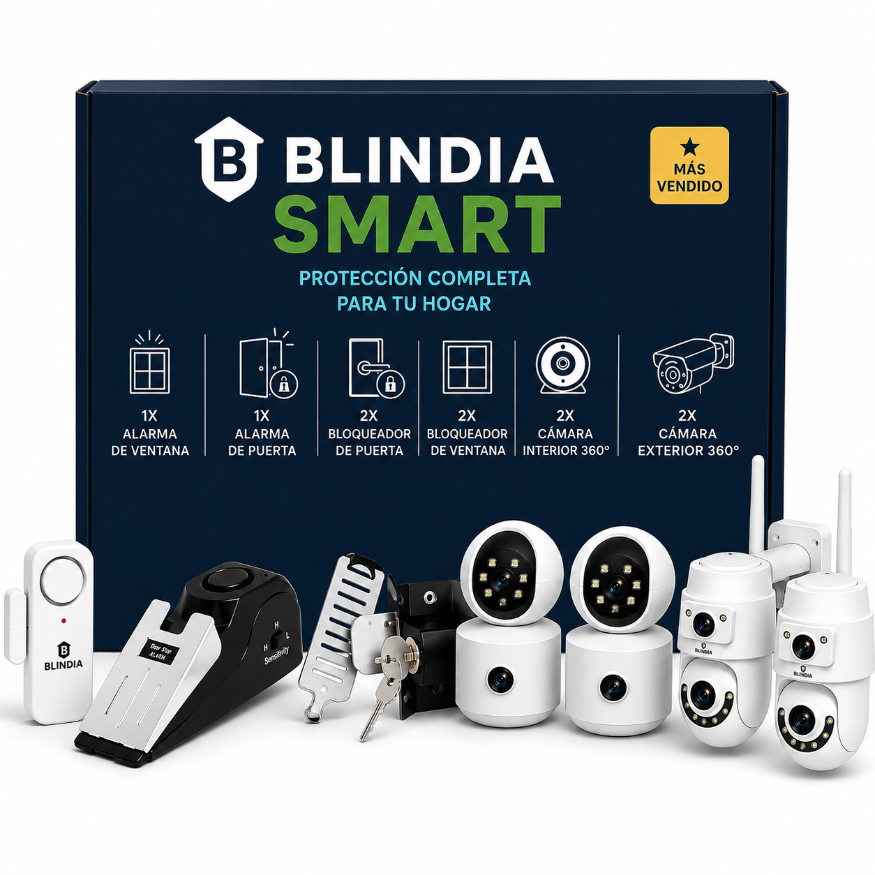 🧠 BLINDIA SMART